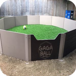 Whitt GaGa Ball