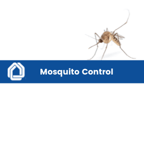 Mosquito Control Newsflash Image