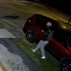 Individual in dark-colored jacket and light-colored pants